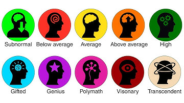 Every Level of Intelligence Explained