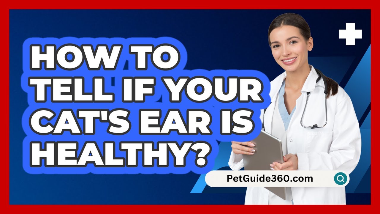 How to Tell if Your Cat's Ear is Healthy?