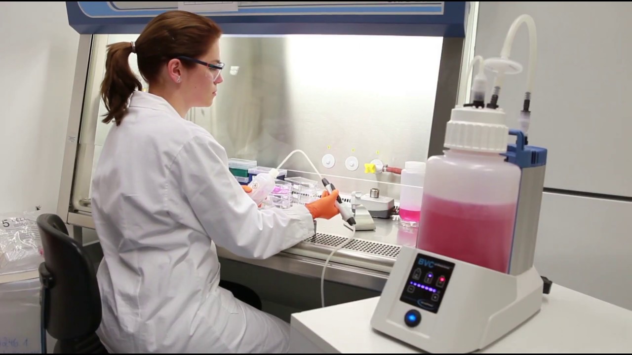 Fluid aspiration system BVC VACUUBRAND YouTube