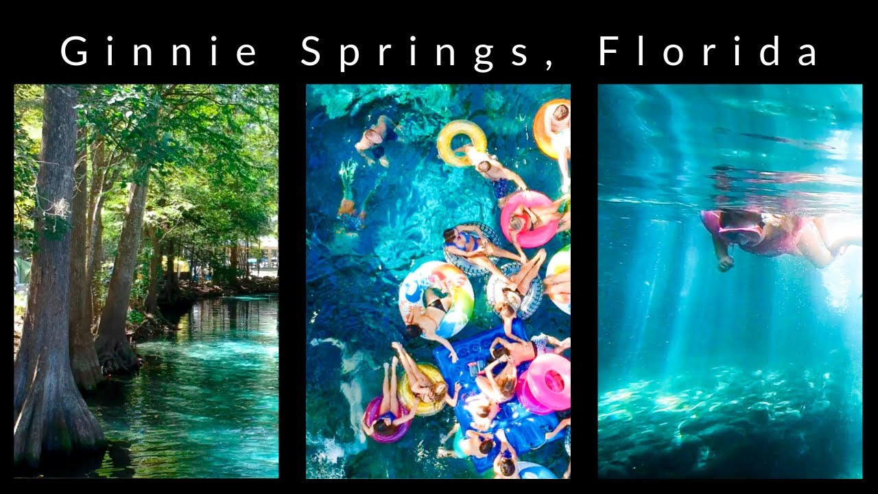 Ginnie Springs FloridaCamping, Snorkeling, Paddle Boarding, Innertubing! YouTube