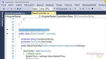 WebAPI Exceptions in Angular
