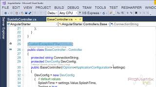WebAPI Exceptions in Angular