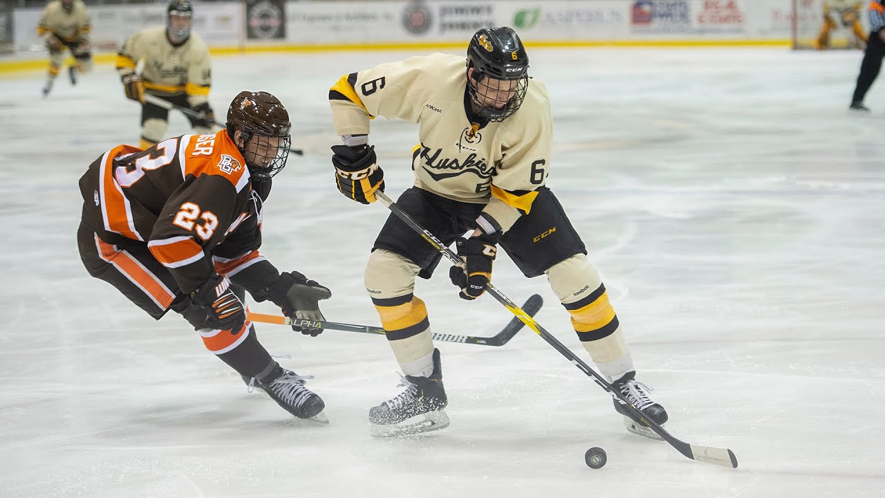 Hockey Highlights Tech vs Bowling Green Jan 12, 2019 YouTube