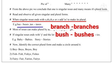 Bridge Course/ Standard Seventh/ Subject English / Activity 20 / Singular and Plural nouns