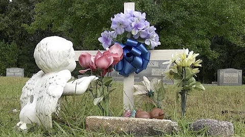 Elvis Presley Jesse Garon's Grave Roy Turner  Tupe...