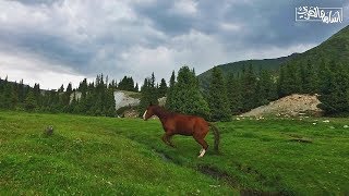 تجربه رائعه رحلتي الى قرغيزستان قرقيزيا فلوق