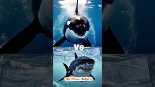Killer Orca vs Mosasaurus, Megalodon & Killer Whale – Ultimate Ocean Battle!” 🌊💥 #shorts