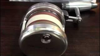 Maxel Jigging Reel Sealion