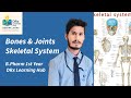 Human Anatomy | Skeletal System (Bones &amp; Joints) | B.Pharm 1st Year | DRx Learning Hub