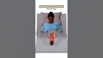 Thumbnail of Normal Delivery Process for First-Time Mothers | Pregnancy Education #pregnancy #pregnant #baby