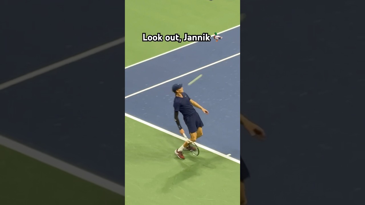 Look out, Jannik 🦆😅 Sinner expertly dodged a flying tennis ball 