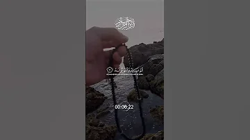 سورة الإخلاص رب Cat صبرو اكسبلور اقنباسات القزابري الرحمن تصويري المصحف لايك 