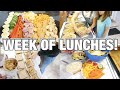 WEEK OF LUNCHES! | WHAT WE EAT | MAKE AHEAD MEAL PREP & EASY MEALS!