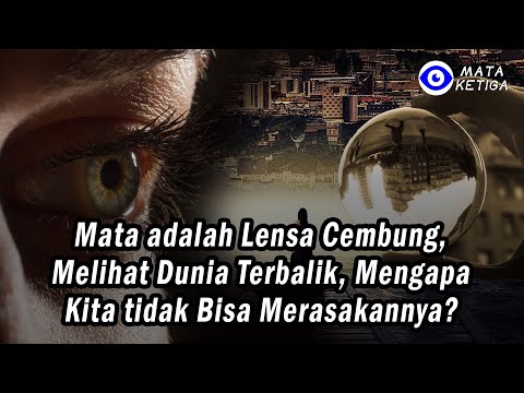 Video: Mengapa retina terbalik?