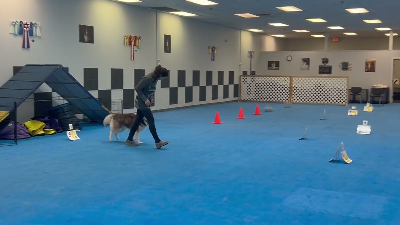 Saffron Virtual Advanced Course #4