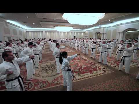 IOGKF Miyagi Chojun