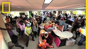 Office Harlem Shake | National Geographic