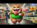 Cats on the Candy Planet - Cute Cats😿😭#cat #cute #cutecat