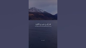 تلاوة مريحه اسلام صبحي للسورة النجم #ربيع_المدخلي
