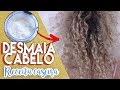 RECUPERE SEU CABELO EM 1 DIA! receita CASEIRA  SALVOU meu cabelo cacheado (passo a passo•Faladantas