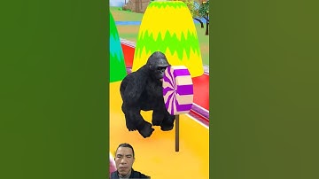 3D Animation Remix: Optimized Version with Scientific Effects & Smooth Transitions #animations