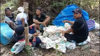 KARUNGGUT Bukit Naga kecematan Tewah Kabupaten Gunung Mas