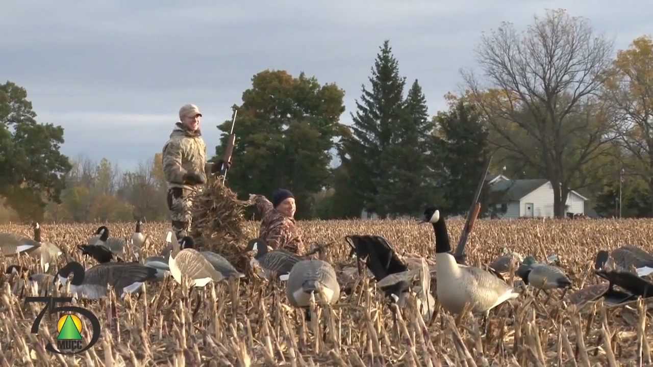 Oct. 9th OD Goose Hunt YouTube