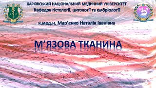 картинка: М'язова тканина. Гістологія