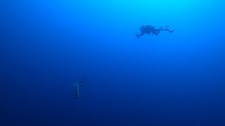 Blue Planet - Red Sea Diving Safari North & Tiran