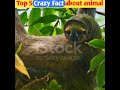 Top 5 Crazy Fact about animal's 🤔 | #shorts