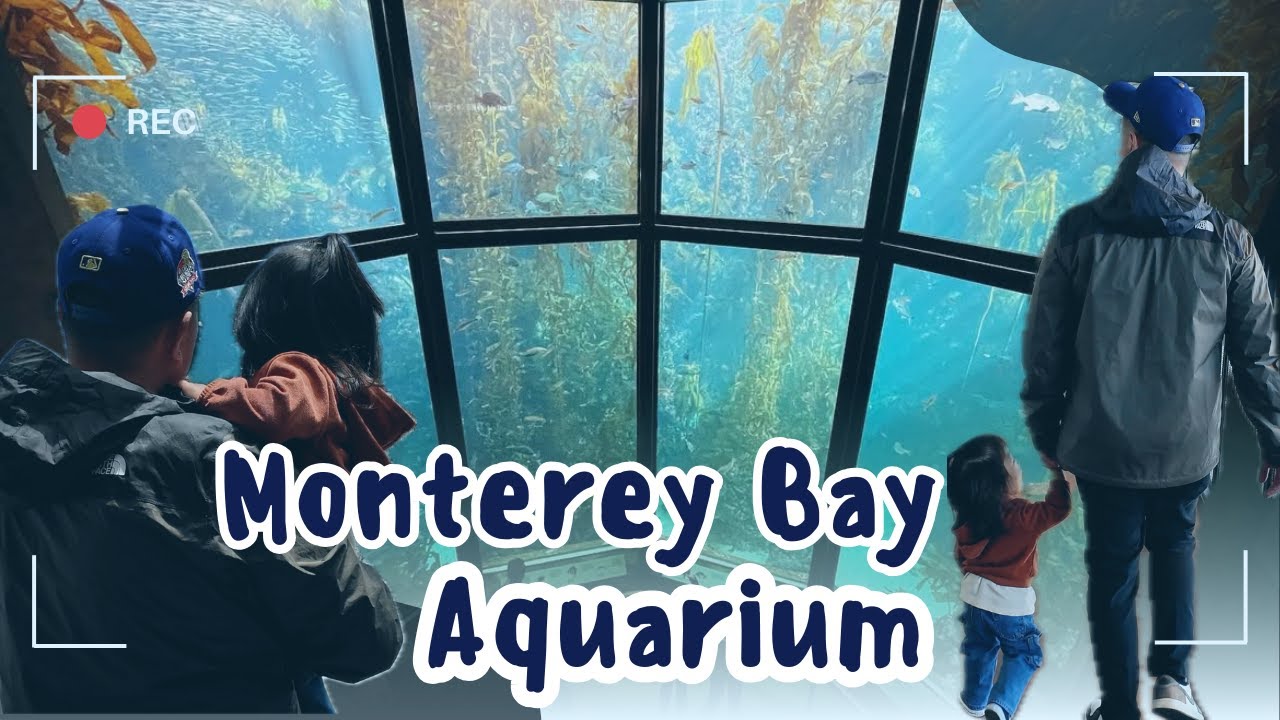Travel Vlog : Monterey Bay Aquarium | Monterey, CA