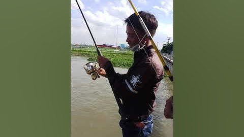 Câu cá cảng cái cui "Ca ngát khủng"....