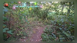 Exploring a couple back trails at Wards lake park! / Episode 3
