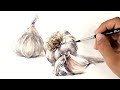 Watercolor Painting | Garlic