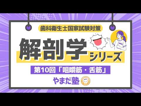 歯科衛生士の国家試験対策動画【解剖学⑩】 - YouTube