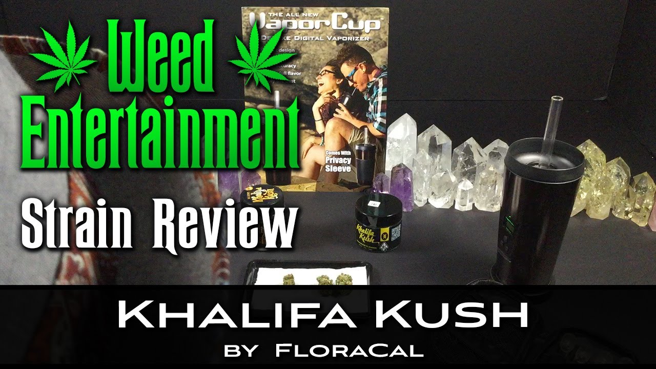 Khalifa Kush - by FloraCal - Strain Review - January 2022