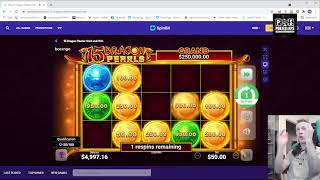 Spinbit nz App Interface