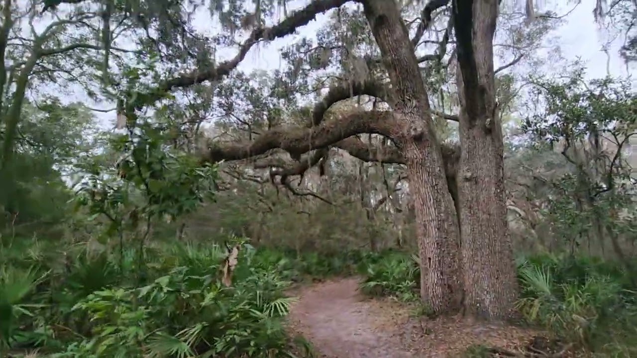 Horton Pond Trail, Jekyll Island, Georgia