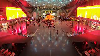 Pexels Videos 1903279