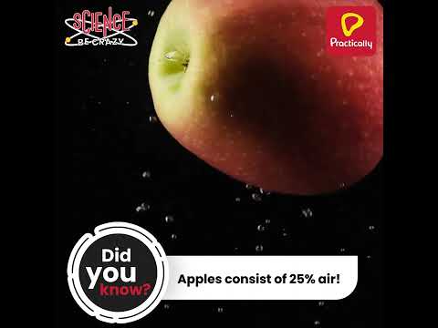 Video: Spartos obelų faktai: sužinokite apie Spartos obuolių naudojimą ir auginimą