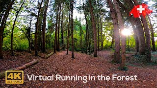 Virtual Running in Forest Switzerland POV 4K Beautiful Place screenshot 4