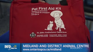 INFO Simcoe | Midland and District Animal Centre | Rogers tv