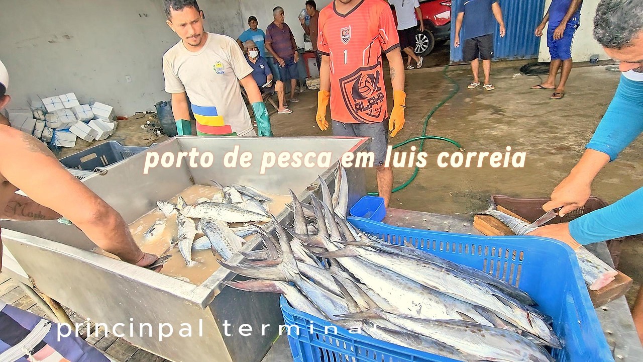 porto de pesca de Luis correia