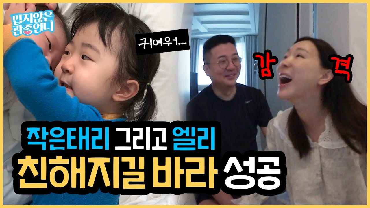 코로나 격리 해제 후 자유를 찾은 관종 가족!! 드디어 작은 태리와 엘리가 친해졌습니다!!😍 [밉지않은 관종언니 이지혜]