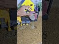 Amazing Mini Tractor Pillar making | Construction Machine project ! #shorts #youtubeshorts
