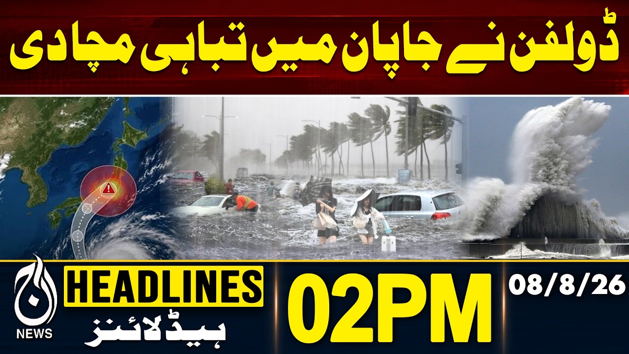 Typhoon Dolphin Japan Flights Cancelled