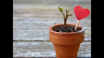 Cầu nguyện cùng Đức Giáo Hoàng ngày 06.12.2024 - Tông đồ cầu nguyện