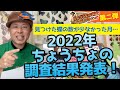 ◯◯月はちょうちょが少ない!?2022年のチョウ分析!トランセクト法!