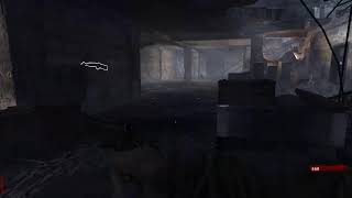 COD5 - THE NAZI DEAD