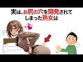 知らないと損する恋愛雑学